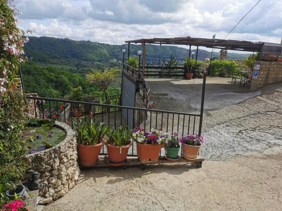Francigena Sul Lago Montefiascone Eksteriør bilde